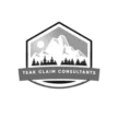 teakautoclaimsut.com